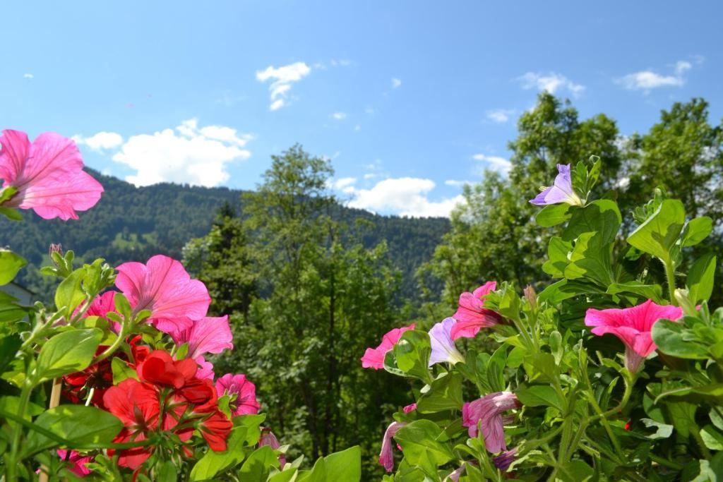 Gaestehaus-Pension Barbara Андельсбух Номер фото